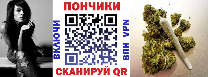 Бошки Шишки Amnesia  Купить закладки  Сольвычегодск 